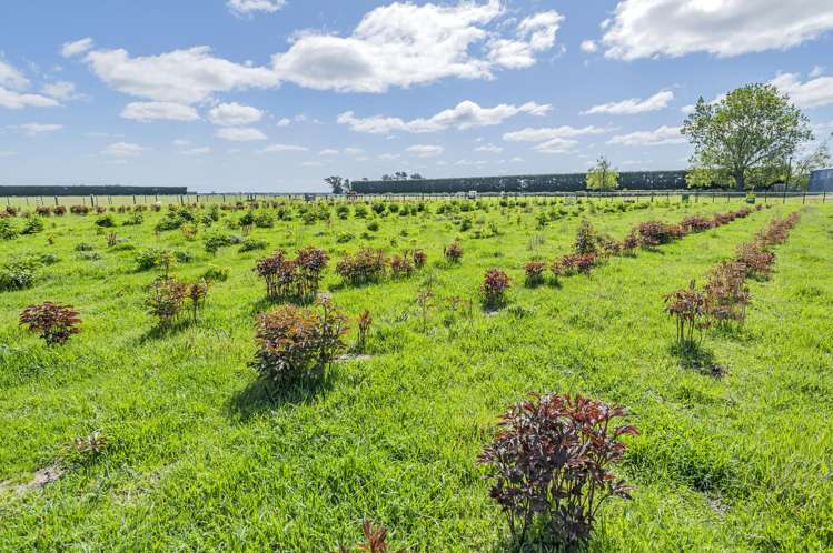 253 Burts Road Southbridge_24