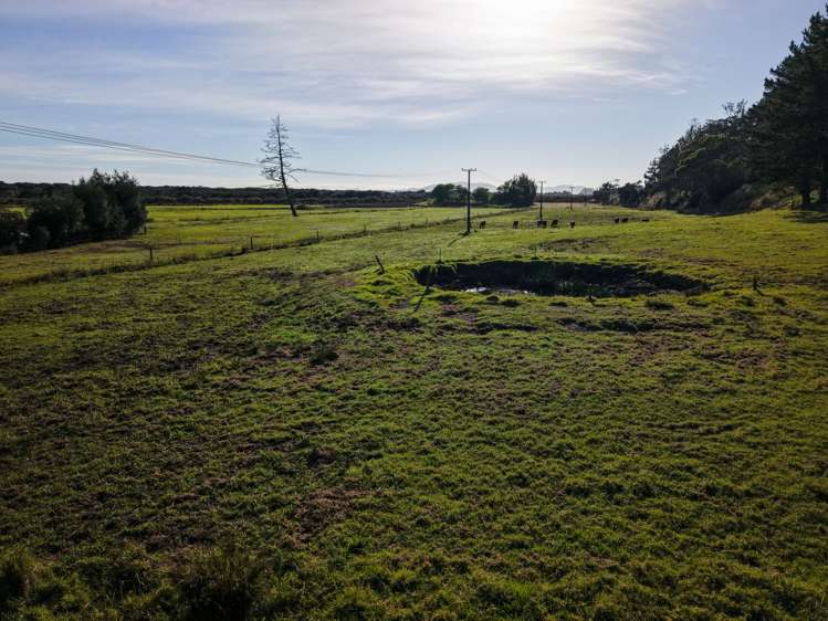 4560 State Highway 10 Lake Ohia_11