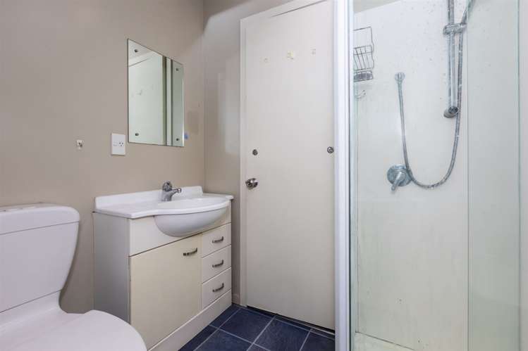 234 Milton Street Sydenham_8