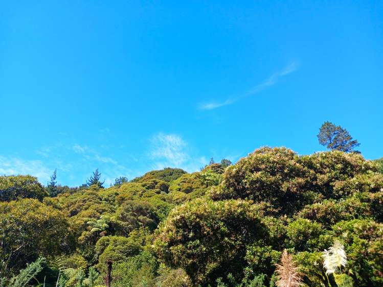 Te Karoa Road Peria_17