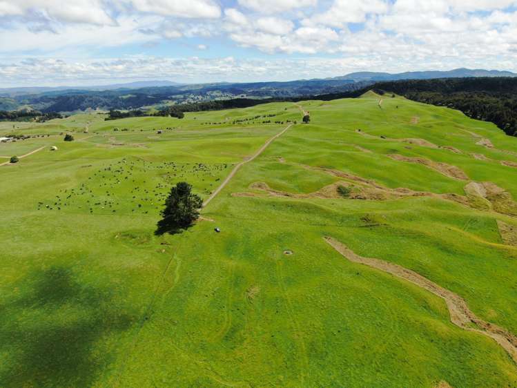 537 Tapuwae Road Benneydale_18