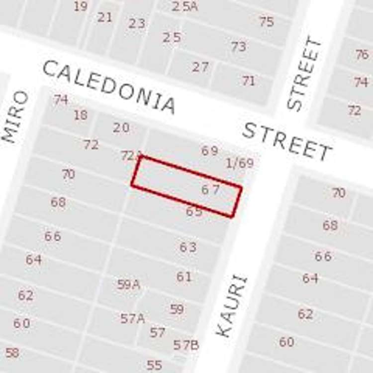 67 Kauri Street Miramar_12