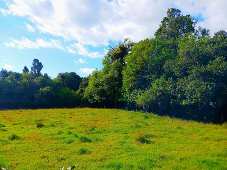 153 Champion Road Kaingaroa_29