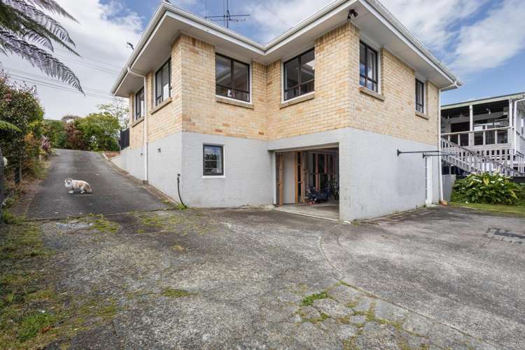 564 Kihikihi Road Te Awamutu_20