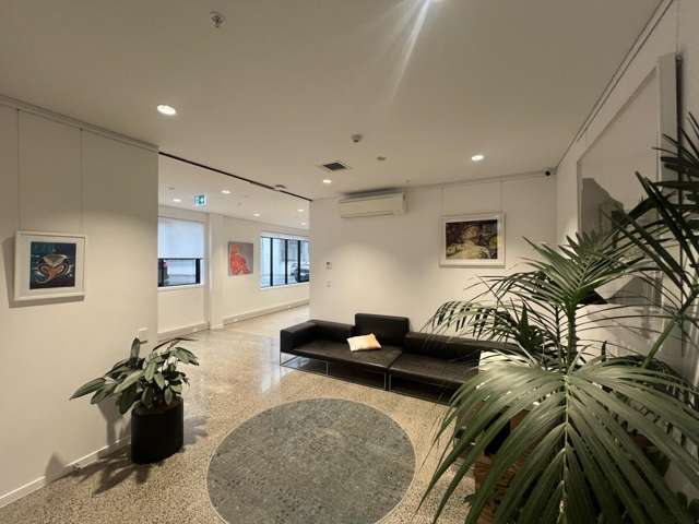 6 Nixon Street Grey Lynn_1