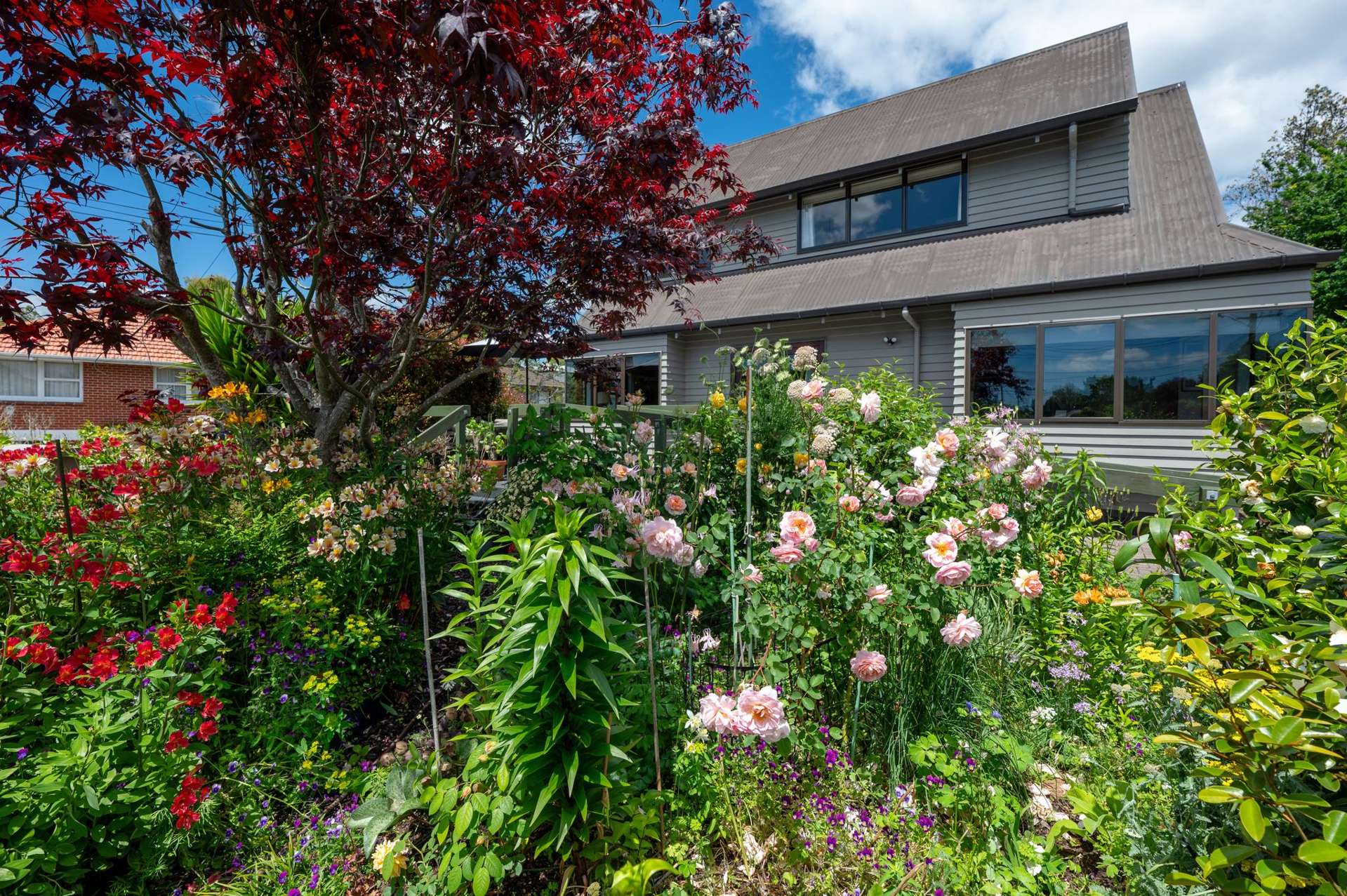 12 Davidson Street Glenholme_0