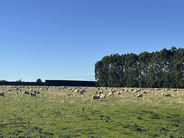 200 Rakahouka Grove Bush Road Grove Bush_2