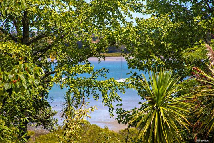 12 Cronin Place Beach Haven_14