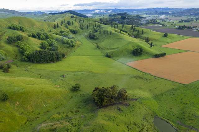 Productive diversity - 88 hectares in two titles