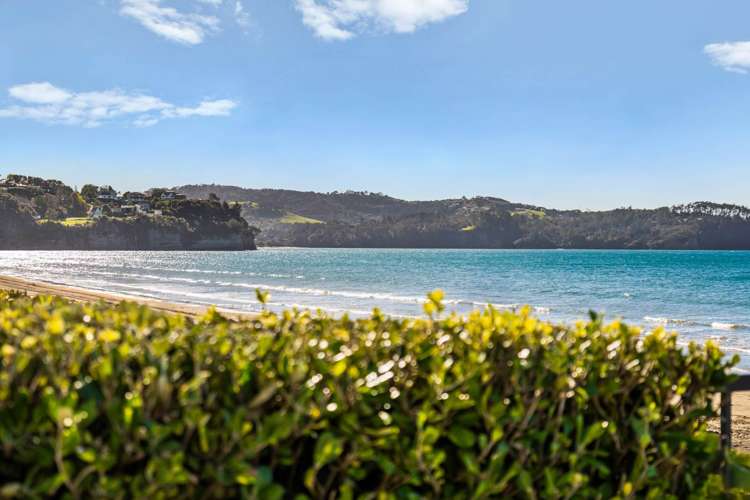 4/383 Hibiscus Coast Highway Orewa_48