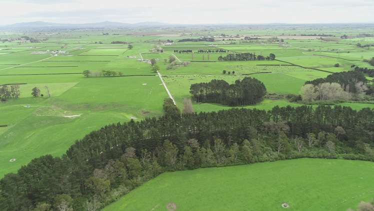 12/1212A Tower Road Matamata_15