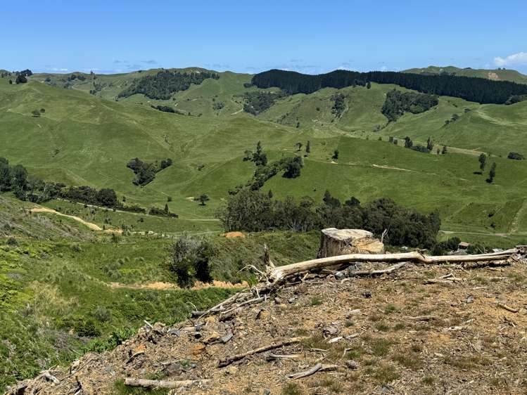 Lot 4 Brown Road Kawhia_23