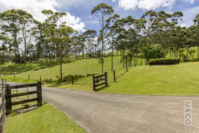 589 Inland Road Helensville_3