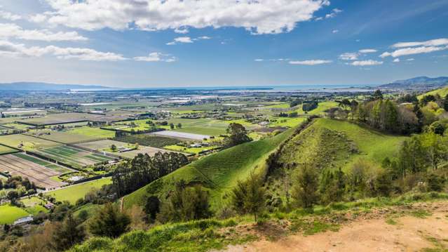 Lot 4 326 Aniseed Valley Road Aniseed Valley_2