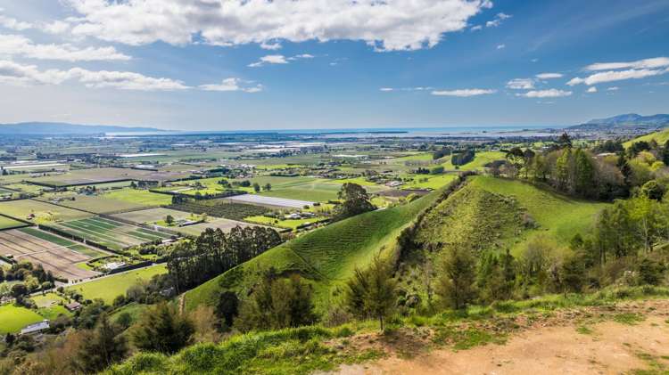 Lot 4 326 Aniseed Valley Road Aniseed Valley_2