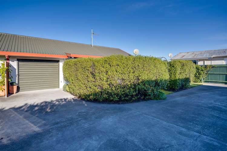 2/128 Guppy Road Taradale_11