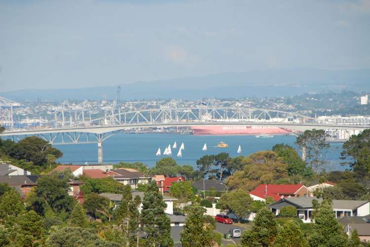 50 Balmain Road Chatswood_2