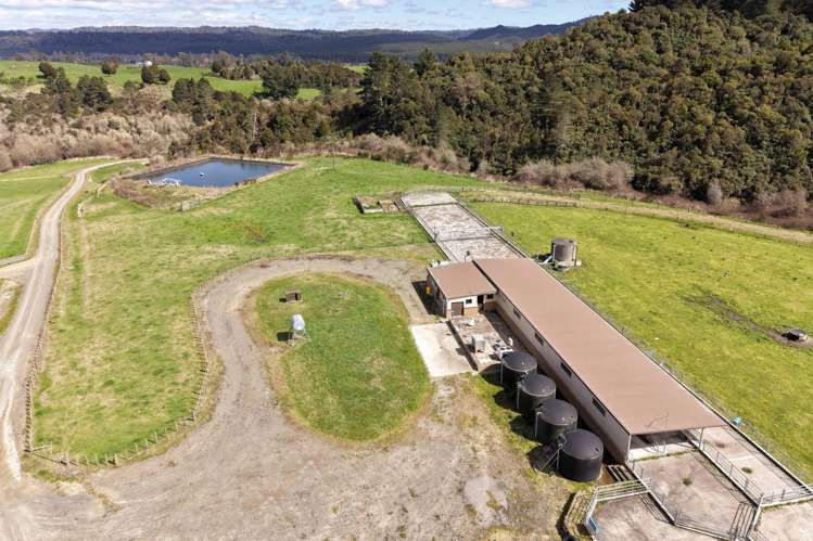 283 Minginui Road Galatea_47