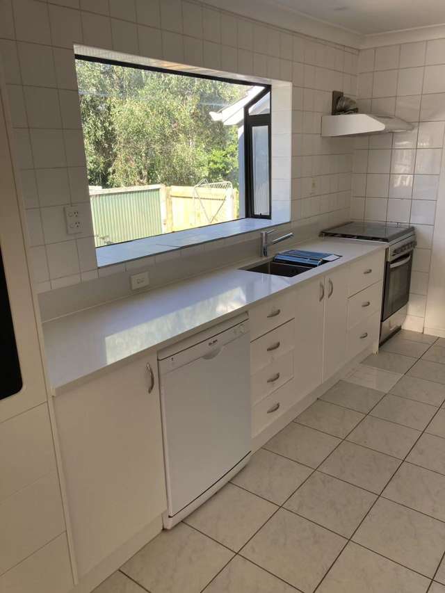 47 Tripoli Road Panmure_1