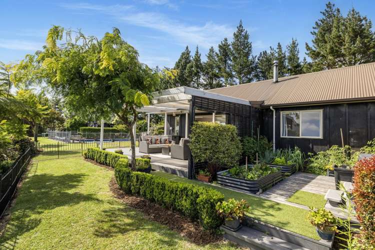 2252 SH29 Lower Kaimai_16