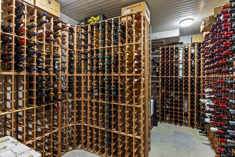 14 Crocus Place Remuera_19