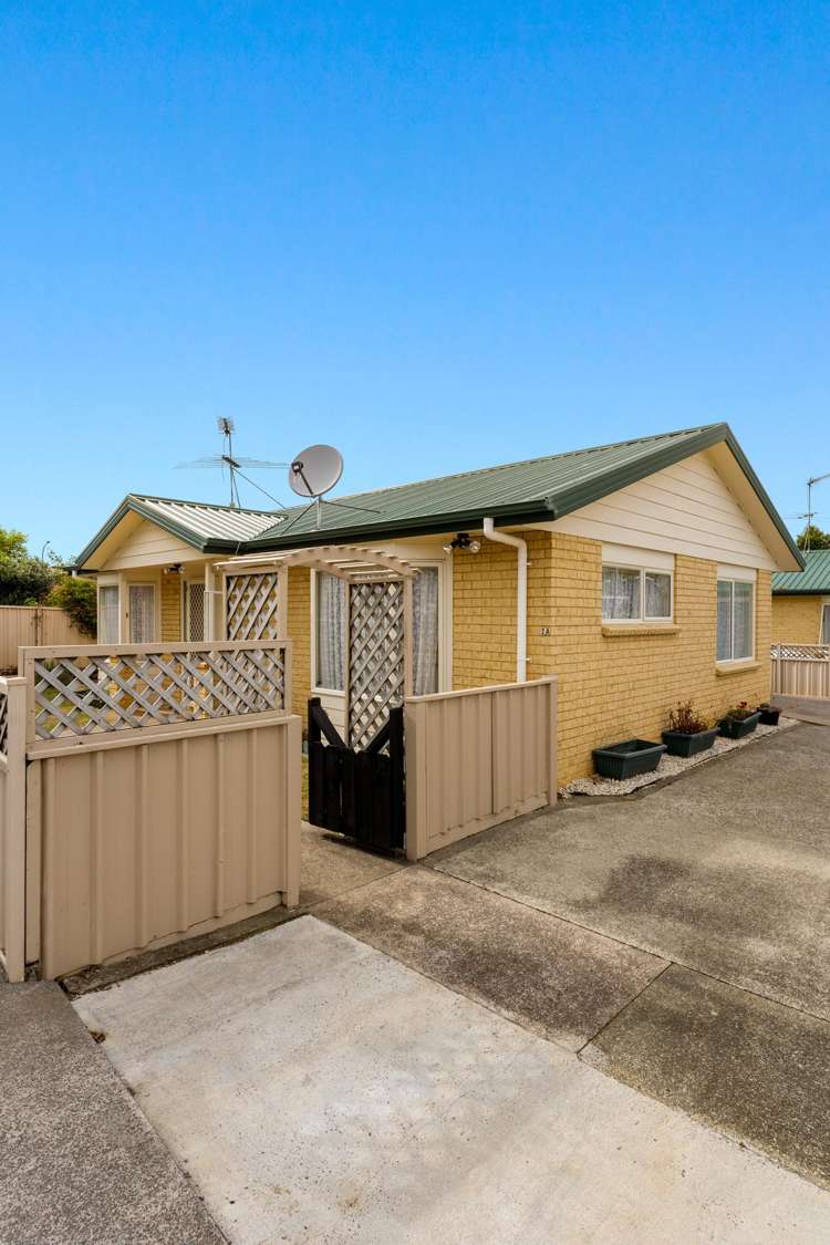 2a Albert Street Pukekohe_38