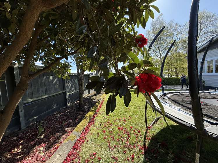 36 Frances Street Balclutha_14