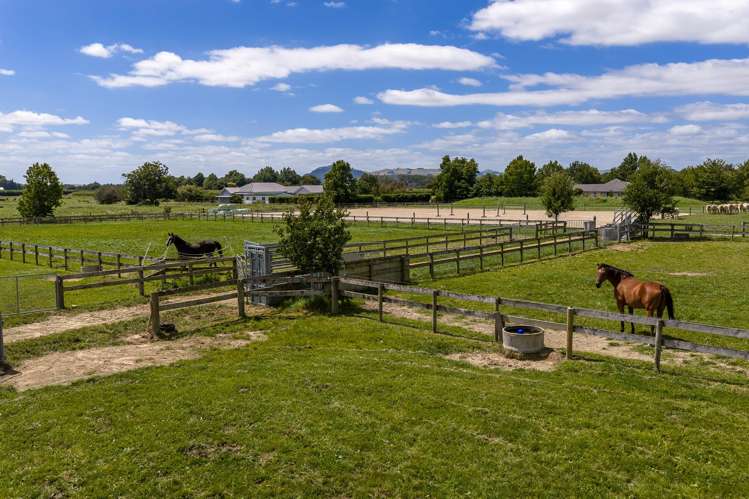 23C Broadmeadows Road Tamahere_6