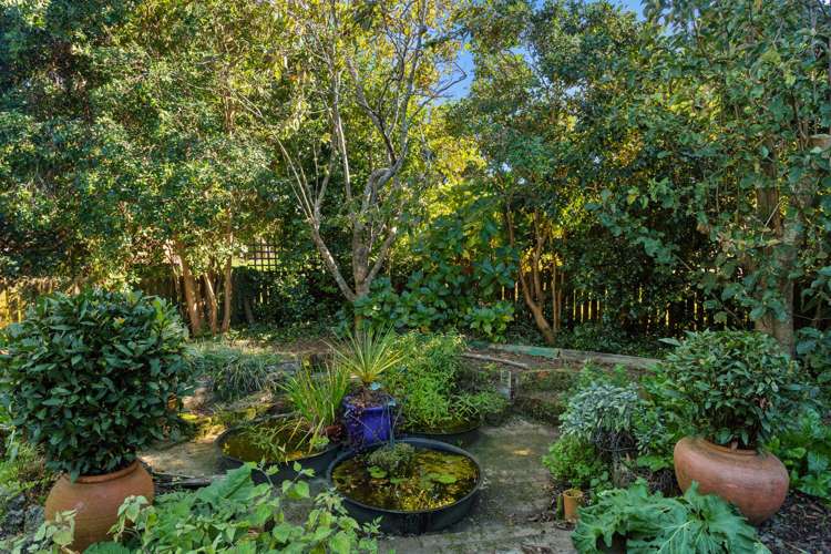 33 Bridge Street Opotiki and Surrounds_28