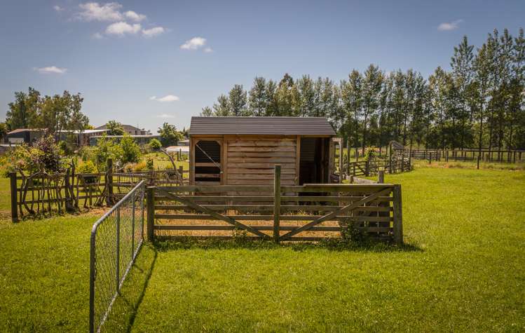 5693 West Coast Road Springfield_33