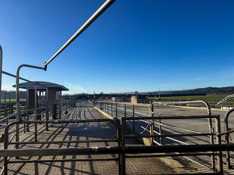 671 Island Edendale Road Wyndham_8