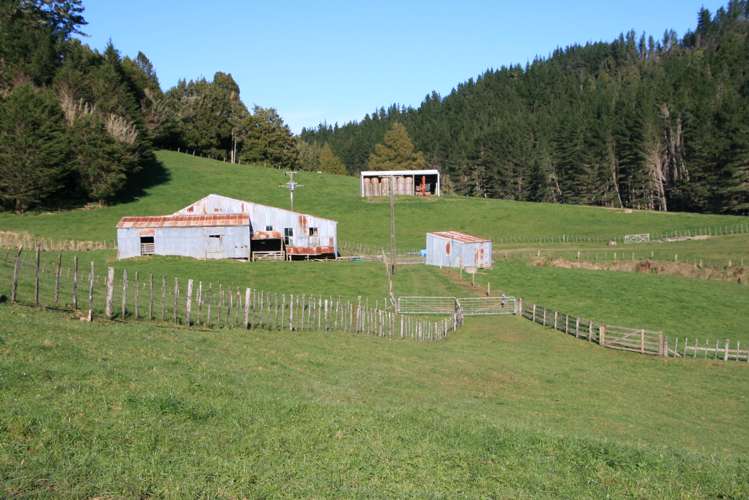 698 Mangaoapa Road Pohokura and Surrounds_20