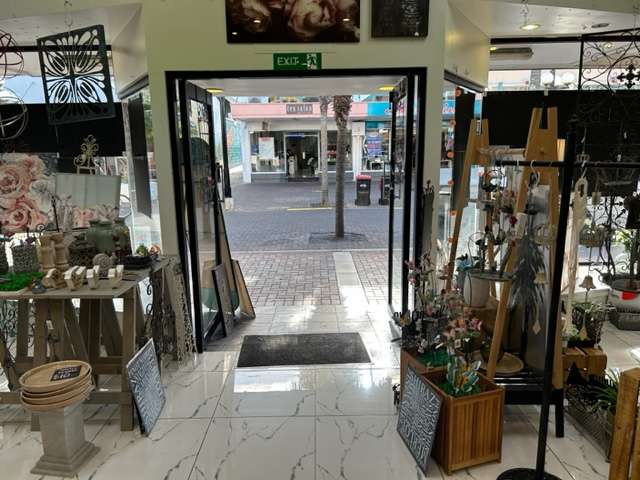 239 Emerson Street Napier South_2