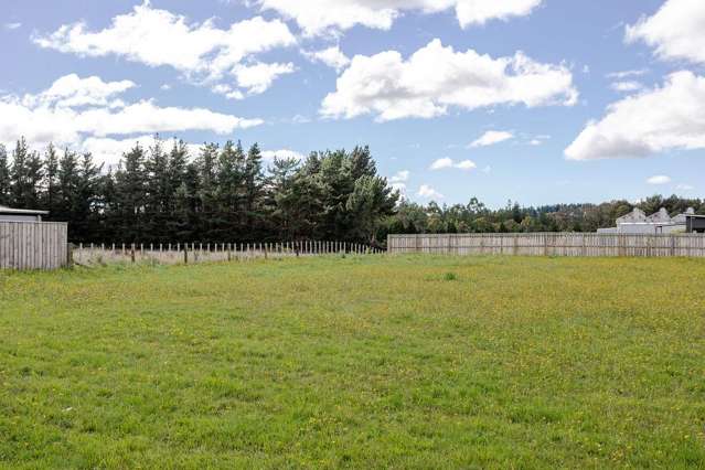 30 Carlson Street Dannevirke_1