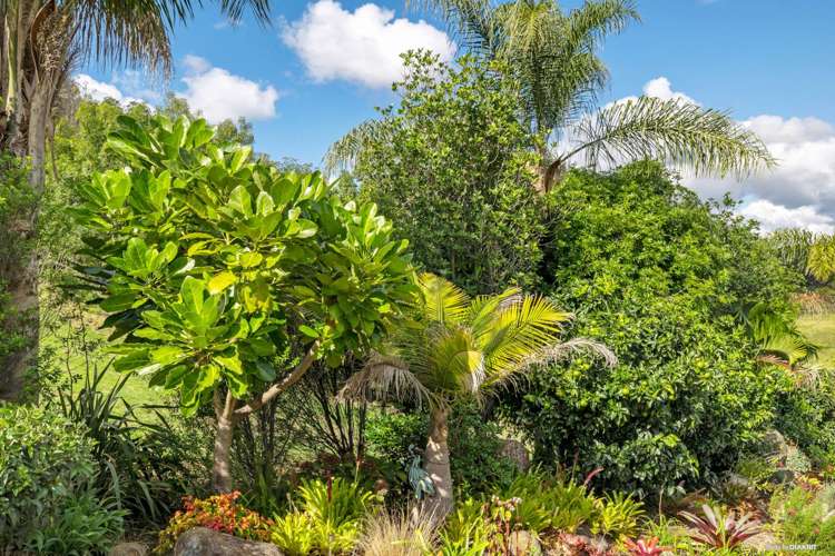 91a Reinga Road Kerikeri_18