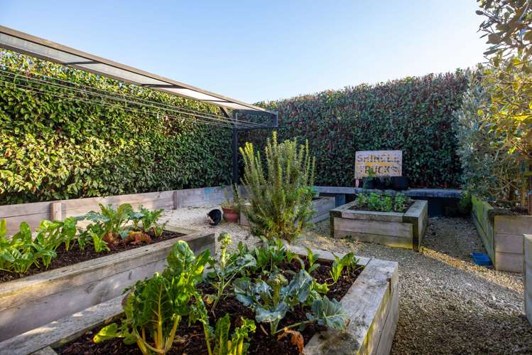 24 Jellicoe Street Oceanview_22