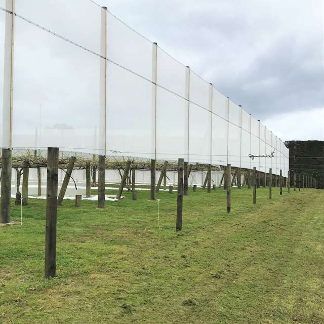 162 Waimea Drive Te Puke_2