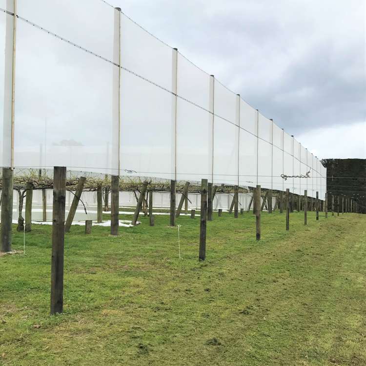 162 Waimea Drive Te Puke_2