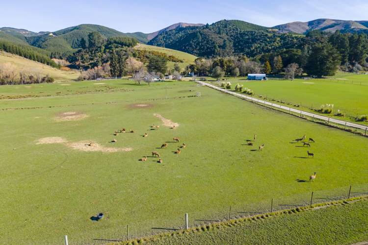 45 Quantock Road Geraldine_16