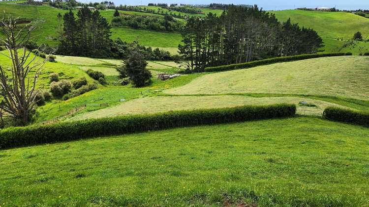 144 King Road Inglewood_22