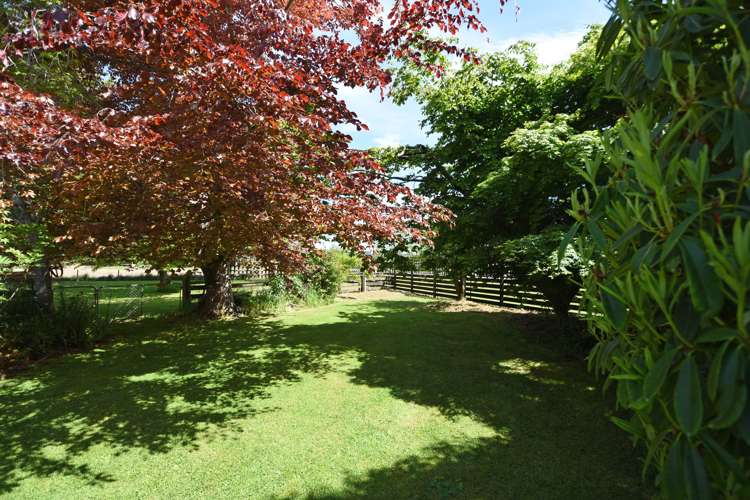 2105 Glencoe Highway Hedgehope_14