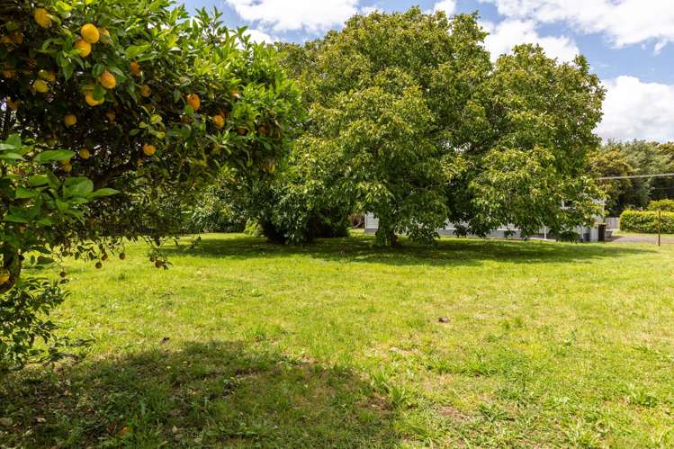 31 Ormond Street Woodville_4