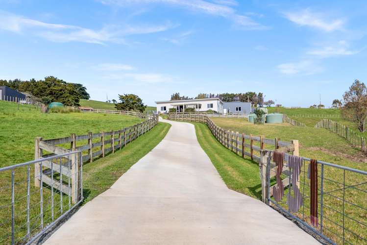 331 Otaika Valley Road Otaika_19