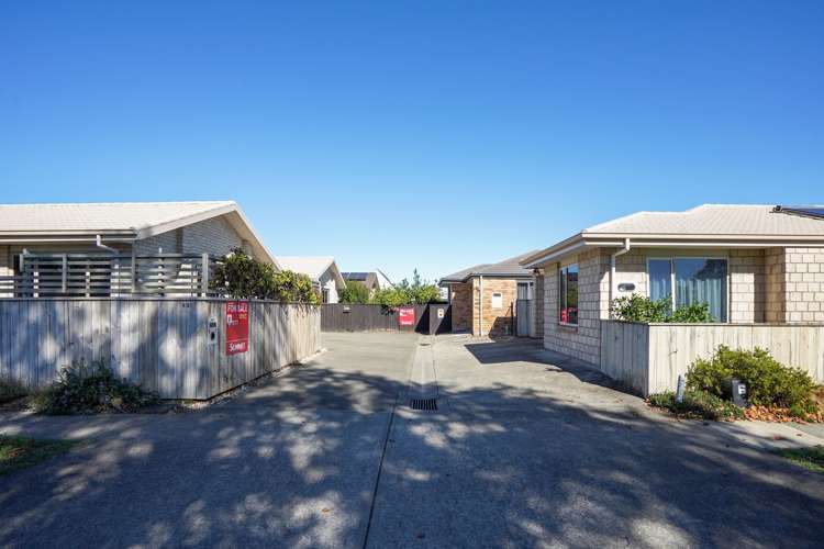 65 Green Street Tahunanui_6