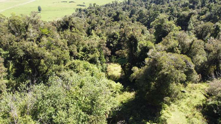 254 Doughboy Road Kokatahi_72