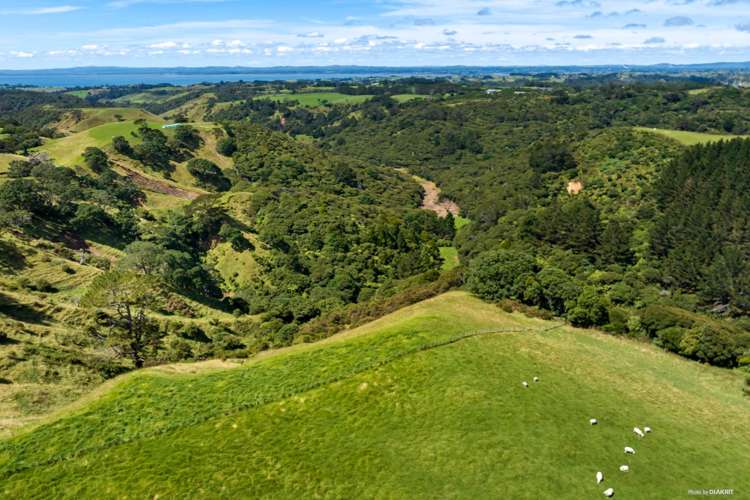 236 Manukau Heads Road Manukau Heads_15