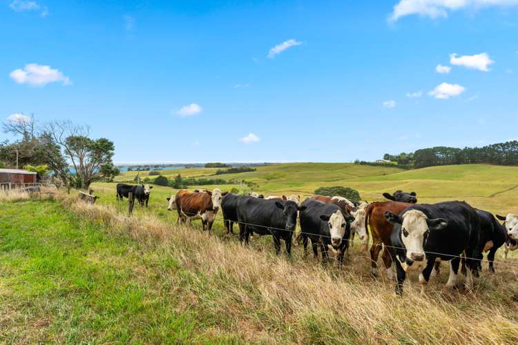 278 Te Toro Road Pollok_4