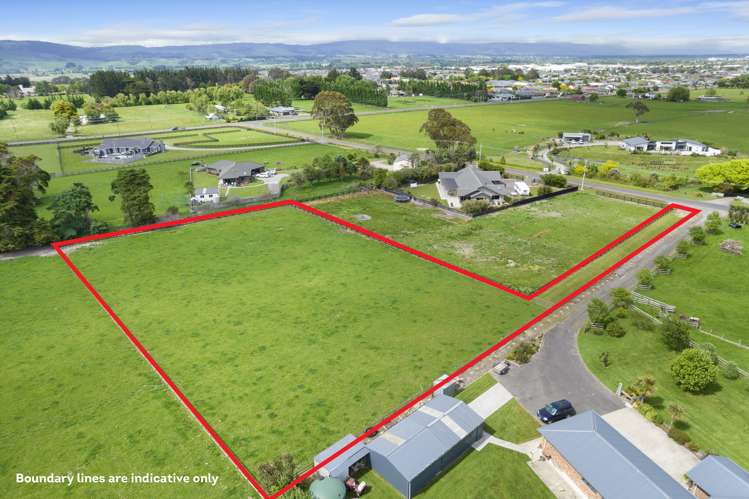 44 Tutaki Road Kelvin Grove_3