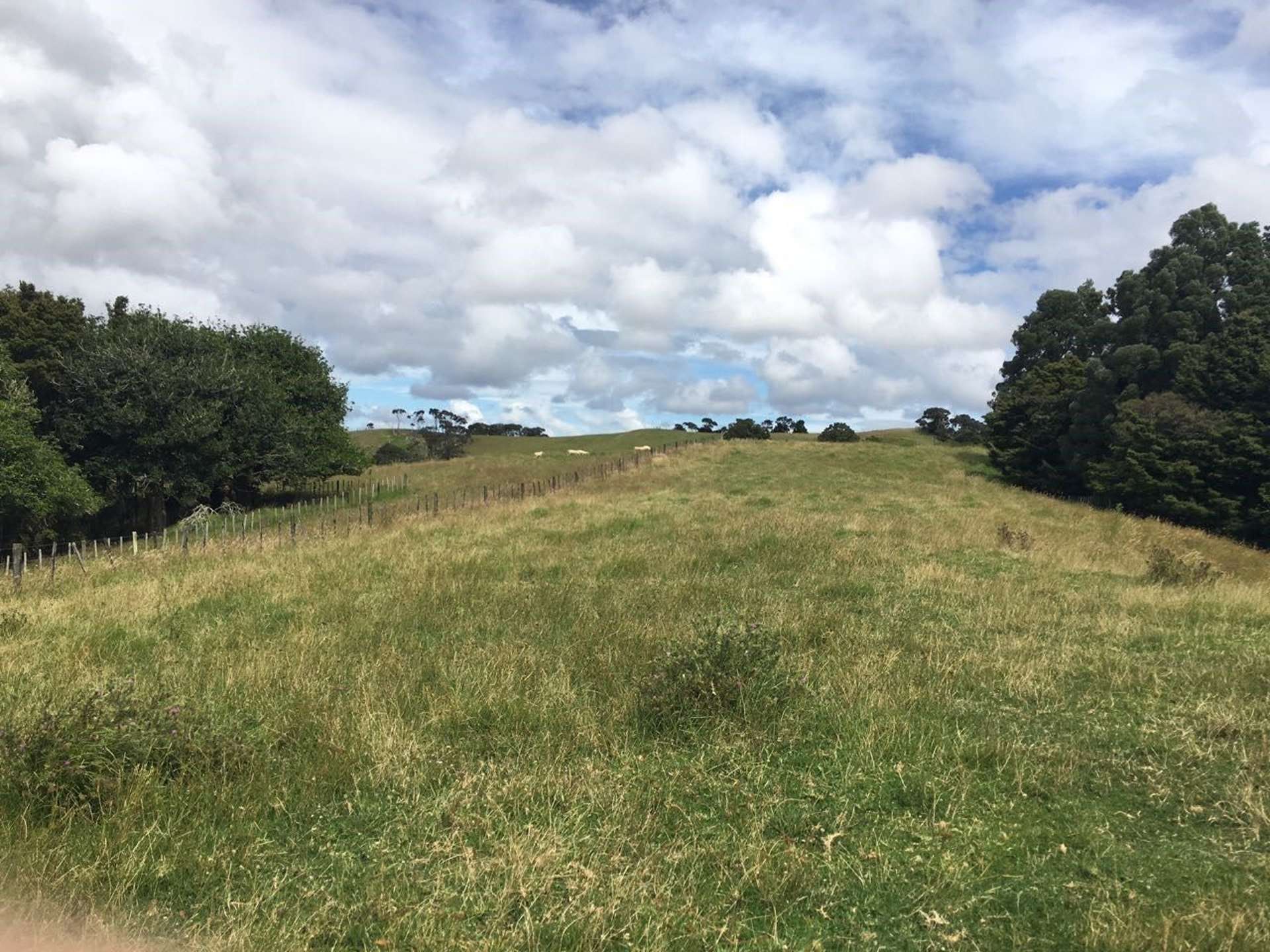 181 Inland Road Helensville_0