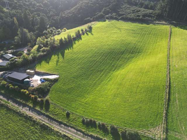 250B Tirohanga Road, North Taieri Mosgiel_1